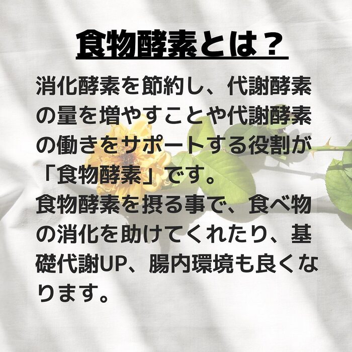 画像517