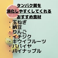 画像519