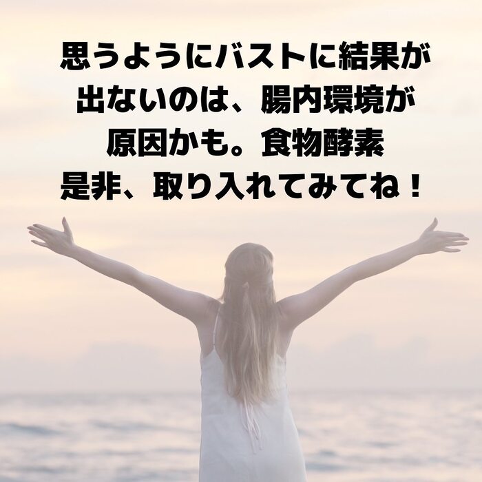 画像522