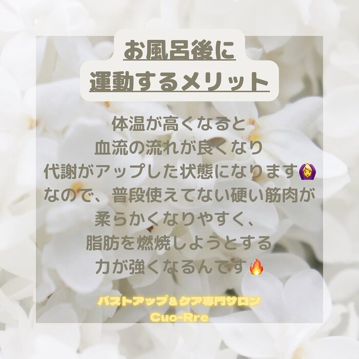 画像526