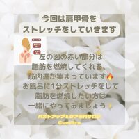 画像527