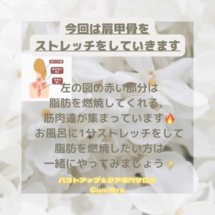 画像527