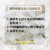 画像528