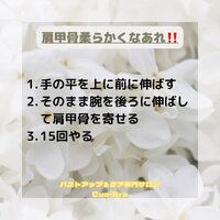 画像529