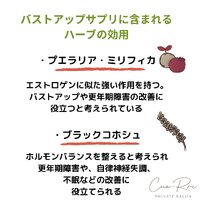画像595